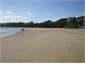 Beautiful Golden Sand