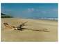 Walk along the dry sand...