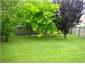 Lawn