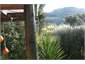 Bush view from the deck