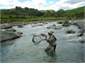 Whakapapa River