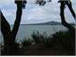 View of Rangitoto