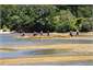 Sea Kayakers at Davies Bay