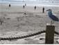 Patrolled beach (by volunteers, not all the time)