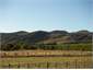 View from Verandah