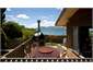 Wood-Fired Pizza Oven