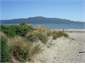Beach with Kapiti Island across the road
