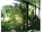 from the verandah