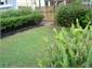 Full fenced garden front and back yard