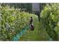 Kurow Winery vineyards.