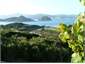 Nice view