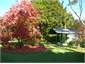 Autumn at Bush Cottage