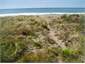 Wander  to the beach only meters away