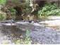 Kids playing in river.deeper swimming available