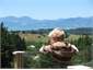 a chalet view