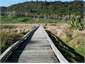 The Okareka walkway