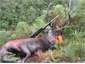 11 pointer 2007