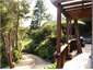 deck and driveway