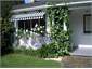Roses at Bayswater Cottage 