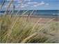 the beach