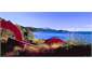 Mt Anglem and Rakiura National Part entrance