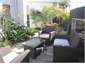 Rear courtyard garden