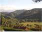 Rural Views