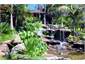 The waterfall in our sub-tropical gardens