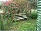 Shady nook outside the kitchen door
