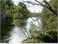 Bush walk scenery