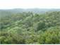 Surrounding Bush View