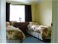 Twin Bedroom in The Shed