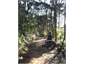 Walking/Riding track.  River below.