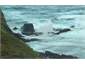Wild Waves