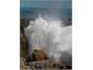 Blowhole