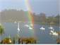 Rainbow over the bay