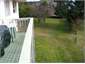 Large Backyard
