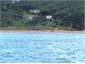 Cabin on the left on beach