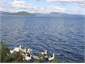 Lake Rotorua