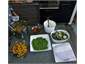 All modern cooking conveniences provided