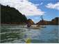 Kayaking Seabird Coast