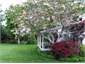 welcome to stroll in our main house garden