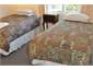Twin room - king single beds
