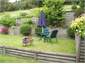 Enjoy the backyard and birds