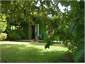 Bush cottage from the Hammock