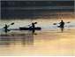 Canoes on the Estuary