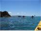 Kayaking Kawakawa Bay 