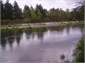 tongariro river