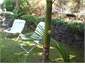 Relax in the secret Garden