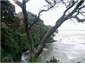 A view from our lookout